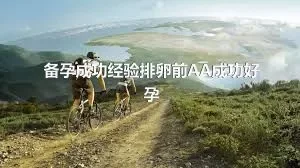 备孕成功经验排卵前AA成功好孕