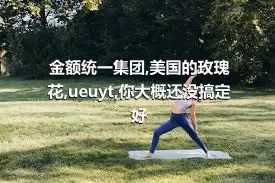 金额统一集团,美国的玫瑰花,ueuyt,你大概还没搞定好