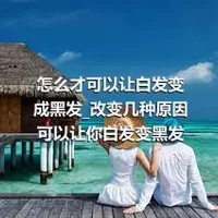 怎么才可以让白发变成黑发_改变几种原因可以让你白发变黑发