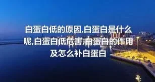 白蛋白低的原因,白蛋白是什么呢,白蛋白低危害,白蛋白的作用及怎么补白蛋白