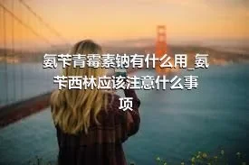 氨苄青霉素钠有什么用_氨苄西林应该注意什么事项