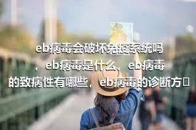 eb病毒会破坏免疫系统吗，eb病毒是什么，eb病毒的致病性有哪些，eb病毒的诊断方法有哪些