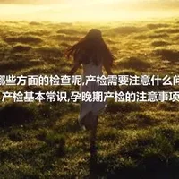 孕期要做哪些方面的检查呢,产检需要注意什么问题,孕晚期产检基本常识,孕晚期产检的注意事项