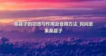 桑葚子的功效与作用及食用方法_民间圣果桑葚子