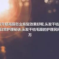 头发干枯毛躁怎么恢复效果好呢,头发干枯毛躁的日常护理秘诀,头发干枯毛躁的护理民间偏方