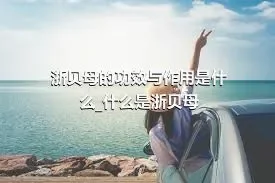 浙贝母的功效与作用是什么_什么是浙贝母