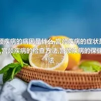 宫颈疾病的病因是什么,宫颈疾病的症状是什么,宫颈疾病的检查方法,宫颈疾病的保健方法