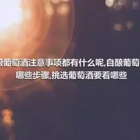 自酿葡萄酒注意事项都有什么呢,自酿葡萄酒有哪些步骤,挑选葡萄酒要看哪些