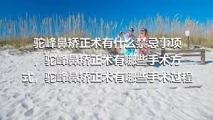 驼峰鼻矫正术有什么禁忌事项，驼峰鼻矫正术有哪些手术方式，驼峰鼻矫正术有哪些手术过程，驼峰鼻矫正术适用于哪些人群