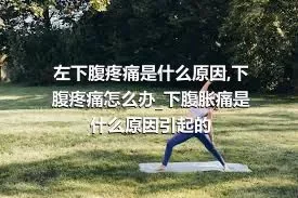 左下腹疼痛是什么原因_下腹疼痛怎么办