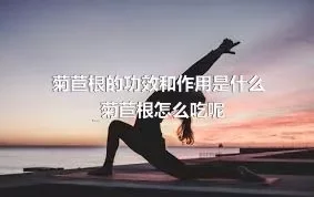 菊苣根的功效和作用是什么_菊苣根怎么吃呢