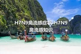 H7N9禽流感症状_H7N9禽流感知识