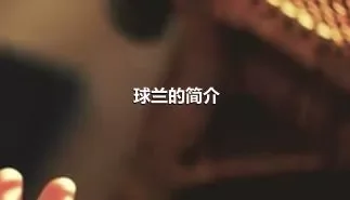 球兰的简介