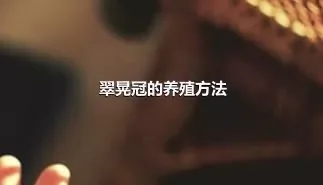 翠晃冠的养殖方法