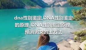 dna性别鉴定_DNA性别鉴定的原理