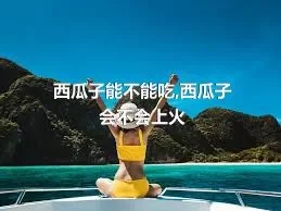 西瓜子能不能吃,西瓜子会不会上火