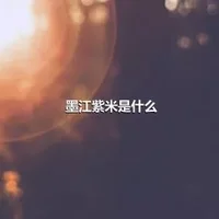 墨江紫米是什么