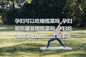 孕妇可以吃橄榄菜吗_孕妇能吃罐装橄榄菜吗