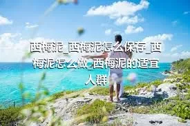 西梅泥_西梅泥怎么保存