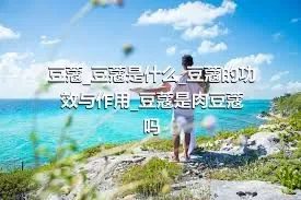 豆蔻_豆蔻是什么