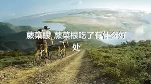 蕨菜根_蕨菜根吃了有什么好处