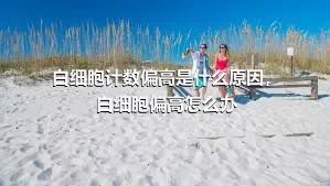 白细胞计数偏高是什么原因，白细胞偏高怎么办