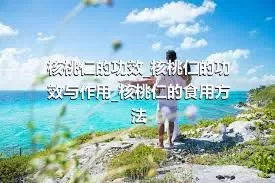 核桃仁的功效_核桃仁的功效与作用