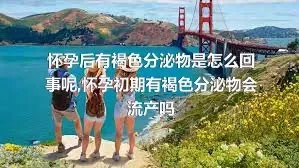 怀孕后有褐色分泌物是怎么回事呢,怀孕初期有褐色分泌物会流产吗