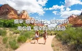 细辛_细辛是什么