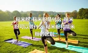 粘米粉_粘米粉是什么