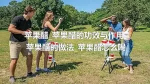 苹果醋_苹果醋的功效与作用