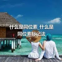 什么是同位素_什么是同位素标记法