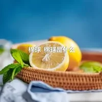 棉球_棉球是什么