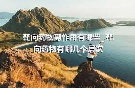 靶向药物副作用有哪些_,靶向药物有哪几个层次