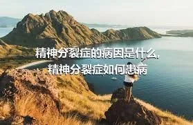 精神分裂症的病因是什么,精神分裂症如何患病