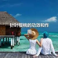 针叶樱桃的功效和作用