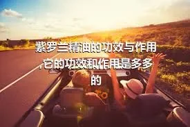 紫罗兰精油的功效与作用,它的功效和作用是多多的