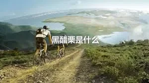 黑醋栗是什么