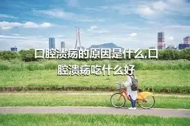 口腔溃疡的原因是什么,口腔溃疡吃什么好