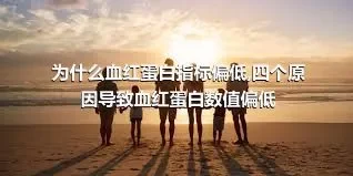 为什么血红蛋白指标偏低,四个原因导致血红蛋白数值偏低