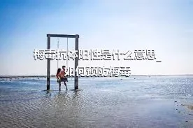 梅毒抗体阳性是什么意思_如何预防梅毒