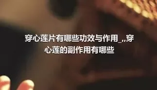 穿心莲片有哪些功效与作用_,,穿心莲的副作用有哪些