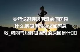 突然觉得呼吸困难的原因是什么_呼吸困难应该如何急救