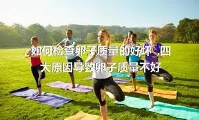 如何检查卵子质量的好坏_,四大原因导致卵子质量不好