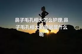 鼻子毛孔粗大怎么护理,鼻子毛孔粗大的原因是什么呢