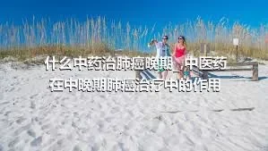 什么中药治肺癌晚期_,中医药在中晚期肺癌治疗中的作用