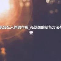 亮氨酸在人体的作用_亮氨酸的制备方法有哪些