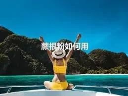 蕨根粉如何用