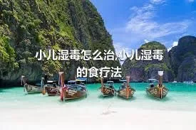 小儿湿毒怎么治,小儿湿毒的食疗法