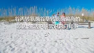 谷丙转氨酶谷草转氨酶偏高的原因,生活护肝常识窍门知多少